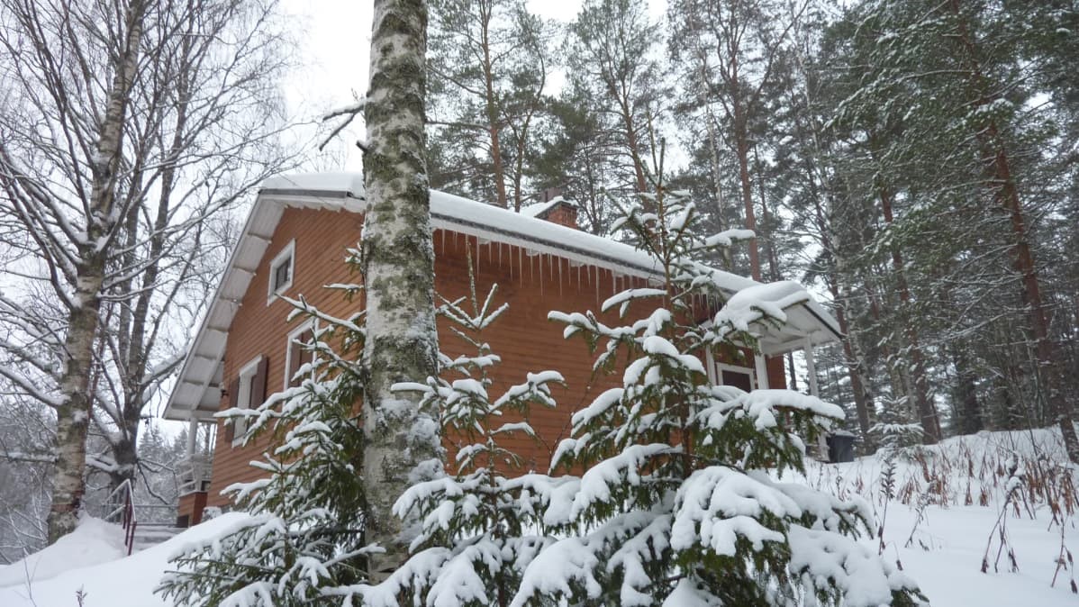 tervaruukki